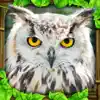 Owl Simulator App Feedback