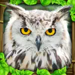 Owl Simulator App Contact