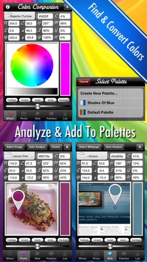 ‎Color Companion - Analyzer & Converter Screenshot