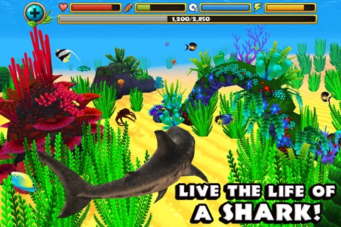 Wildlife Simulator: Sharkのおすすめ画像1