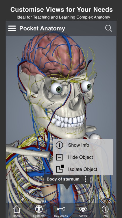 Pocket Anatomy Pro screenshot-3