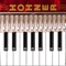 Mimicking the layout of Hohner's iconic piano accordions, this intuitive virtual accordion is easy to play and sounds exactly like the real instrument