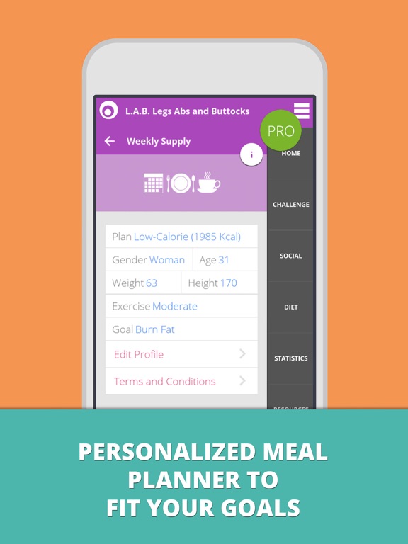 L.A.B. Legs Abs Butt Lumowell iPad screenshot 5 - Health & Fitness app