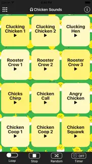 chicken sounds problems & solutions and troubleshooting guide - 1