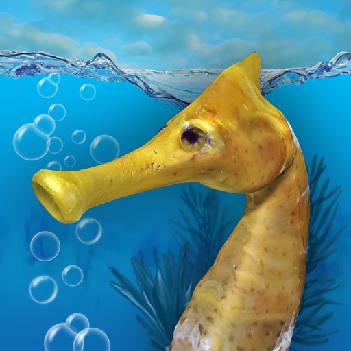 Seahorse 3D Icon