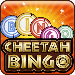 Cheetah Bingo