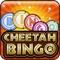 Cheetah Bingo is the newest and coolest bingo app