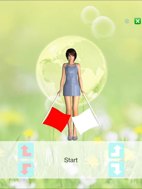 Screenshot #5 pour Raise Flags