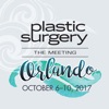 Plastic Surgery The Meeting 17