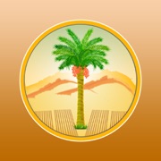 بدية