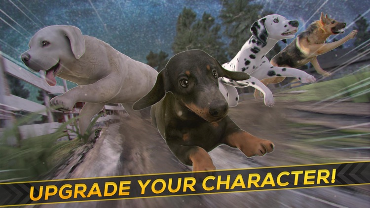 Hero Patrol: Puppy Farm