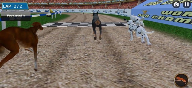Dog Racing Tournament 2018(圖5)-速報App