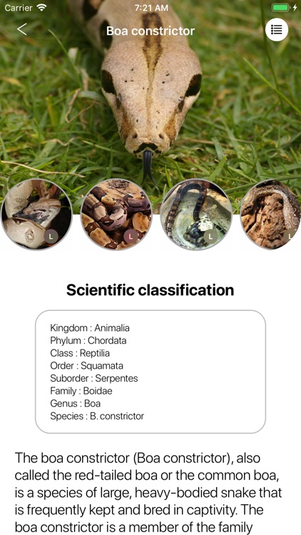 Snakes 2.0 screenshot-6