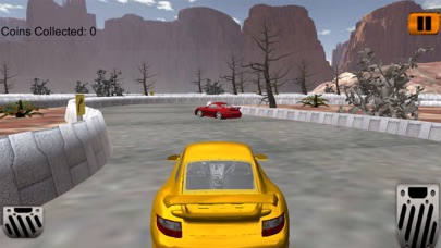 Real Turbo Speed Car Racing screenshot 3