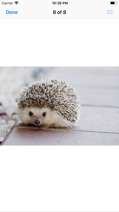 My Hedgehog Sticker Pack screenshot 3