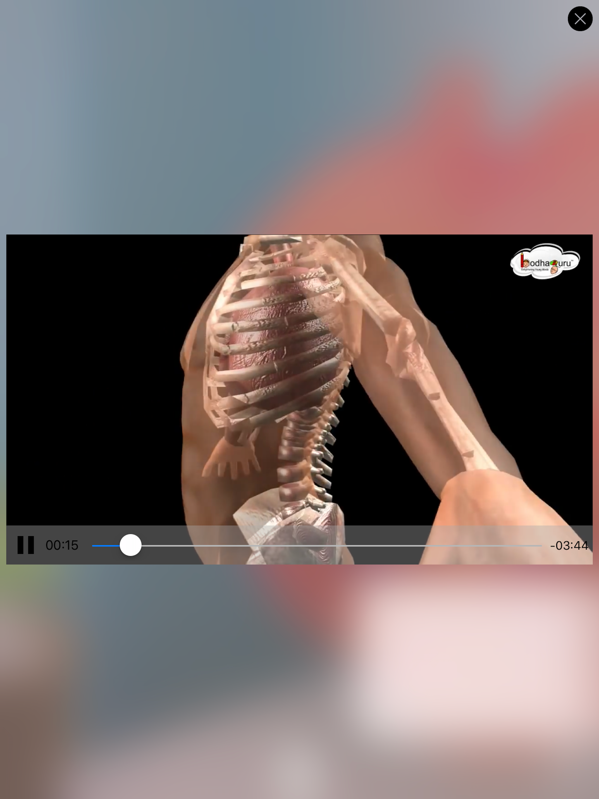 Bio3D