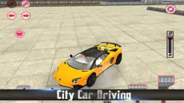Game screenshot Fast Car Test Skill apk