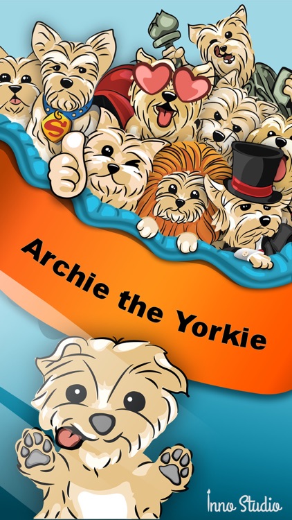 Archie the Yorkie
