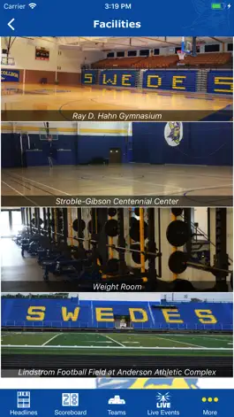 Game screenshot Bethany College Swedes hack