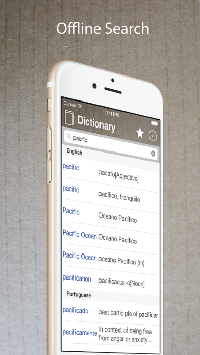 Portuguese English Dictionary. Screenshot