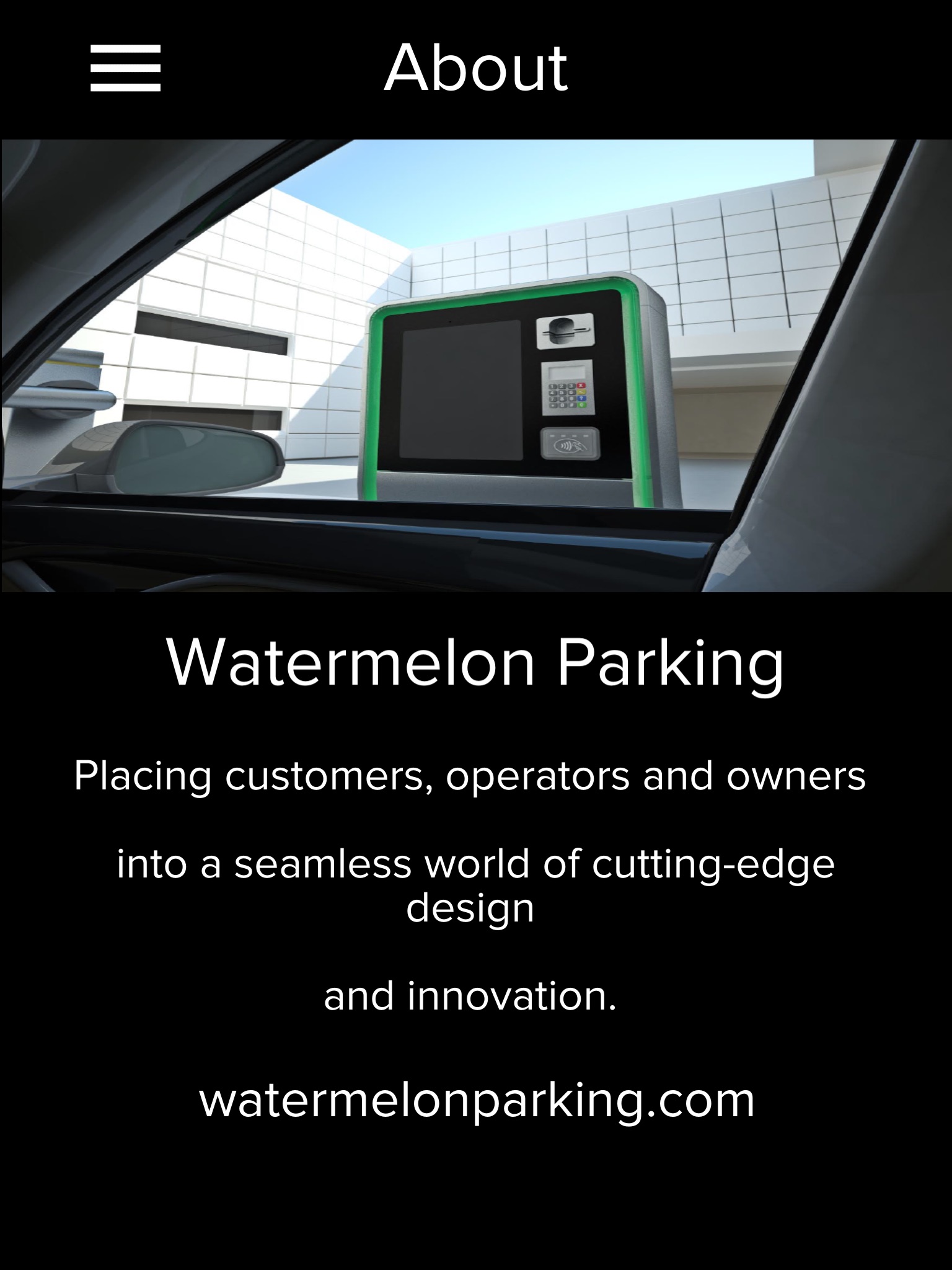 Watermelon Parking screenshot 3