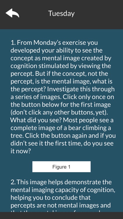 Creativity & Design 2 screenshot-7