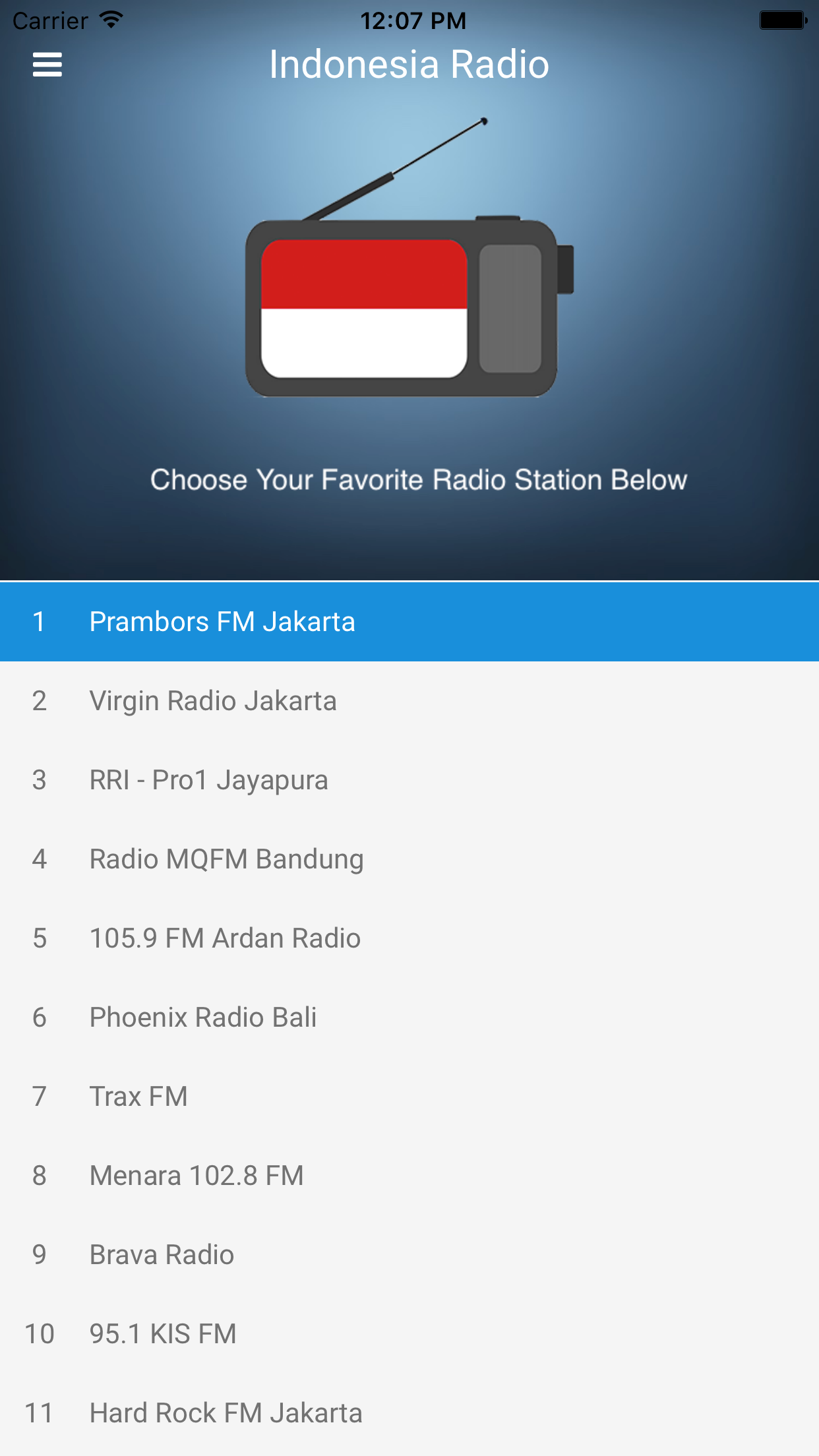 Indonesia Radio Station FM