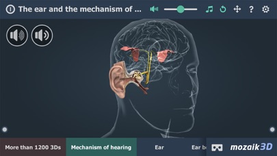 Screenshot #1 pour The mechanism of hearing 3D
