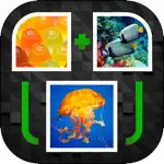 PicPicWord - New 2 Pics 1 Word Puzzle App Contact