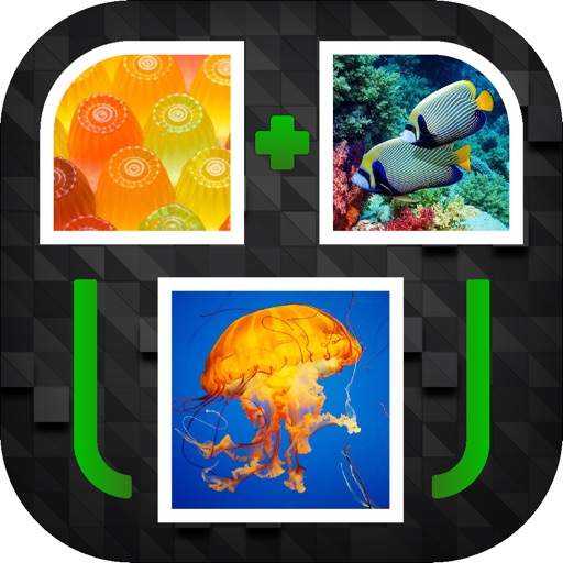 PicPicWord - New 2 Pics 1 Word Puzzle icon