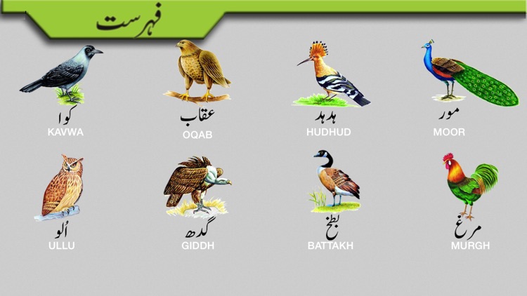 Toddler Urdu Qaida screenshot-4