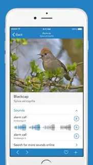 birds pro hd iphone screenshot 3