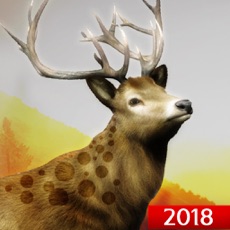 Activities of Hunting Challenge 2018