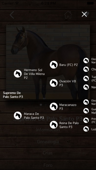 Caballo Criollo Colombiano screenshot 3