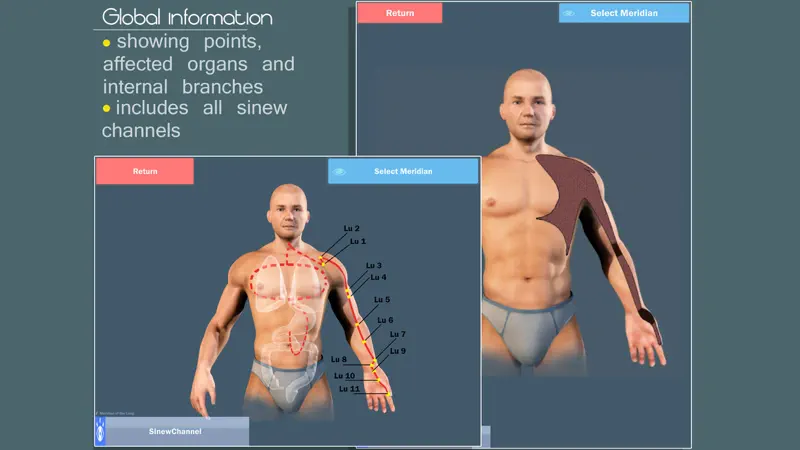 Easy Acupuncture 3D -FULL screenshot 2 of 5