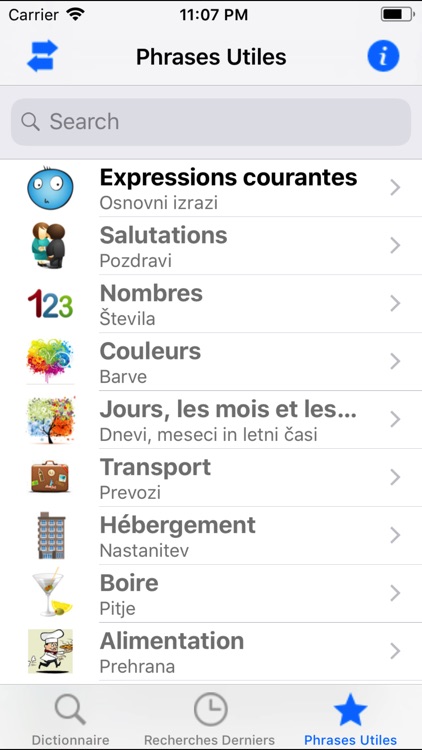 Portosdicty Dict Fra-Slo screenshot-3