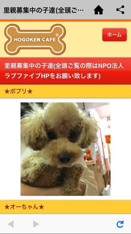 犬猫の保護 LoveFive