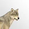 Mammals of North America App Support