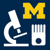 Histology - Basic Tissues - The University of Michigan