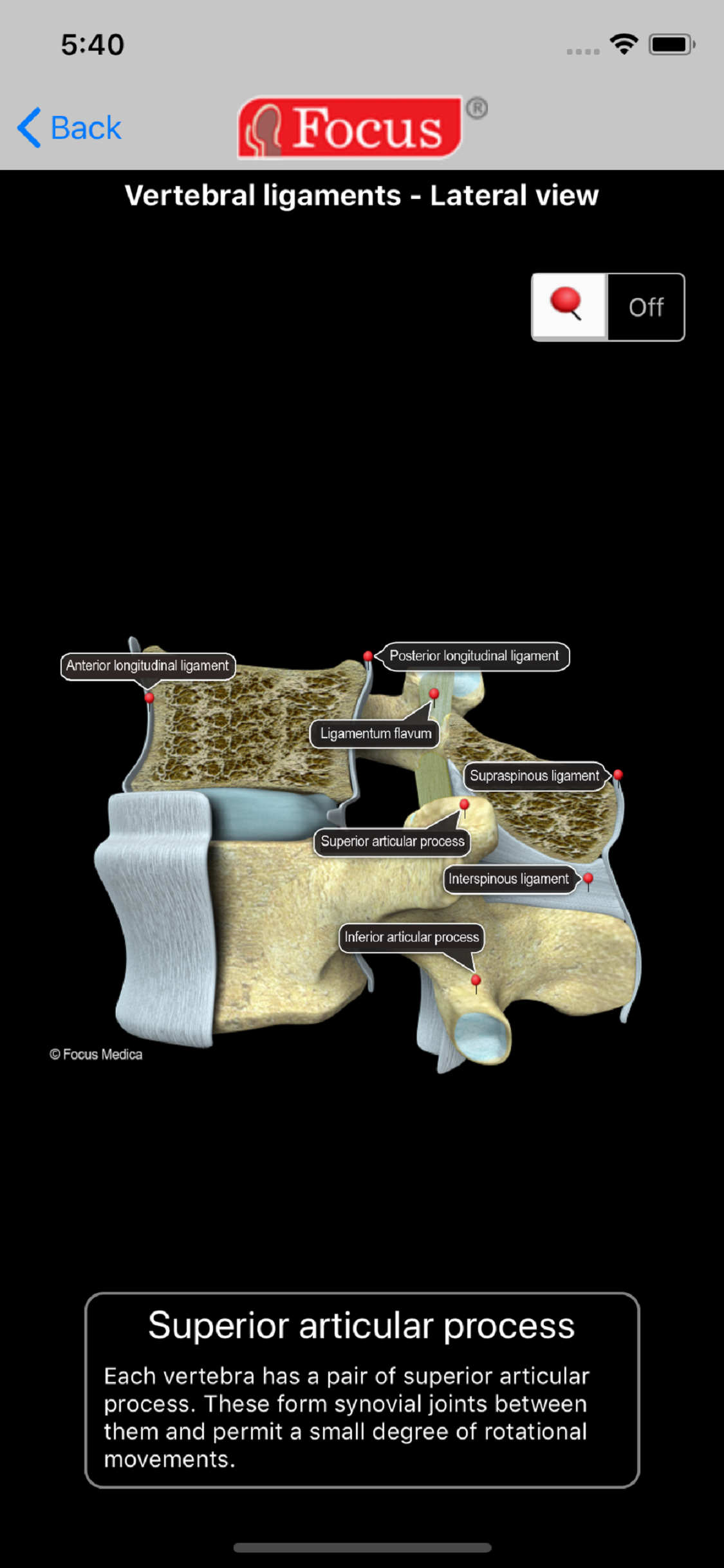 Back and Spinal cord