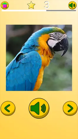 Game screenshot African Animals: Puzzles apk