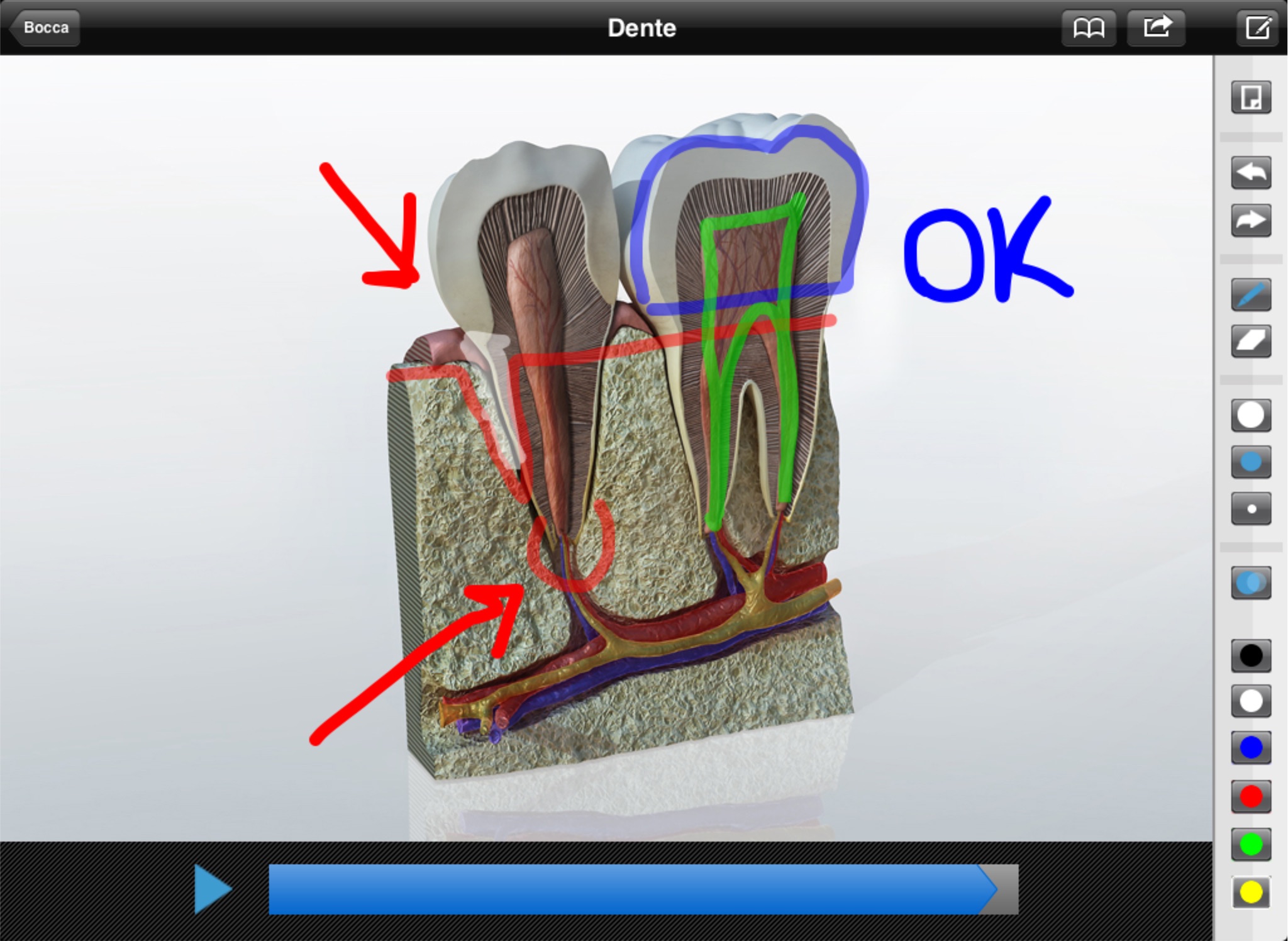 Dental Communication screenshot 3