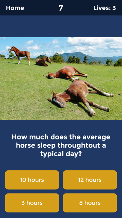 Screenshot #1 pour Horse Quiz by HayGrazer