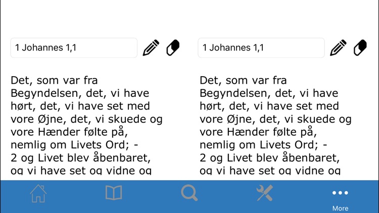 Bibelen på Dansk