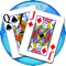 Pinochle card game featuring: