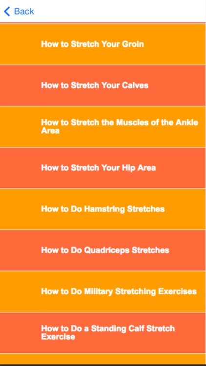 Stretching Exercises for Beginners