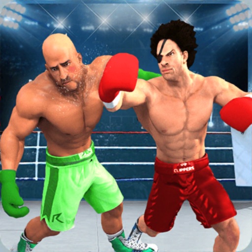 Boxing KO: The Career Boxer