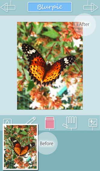 Blurpic - あなたの写真をぼかしで印象的なものに -のおすすめ画像5