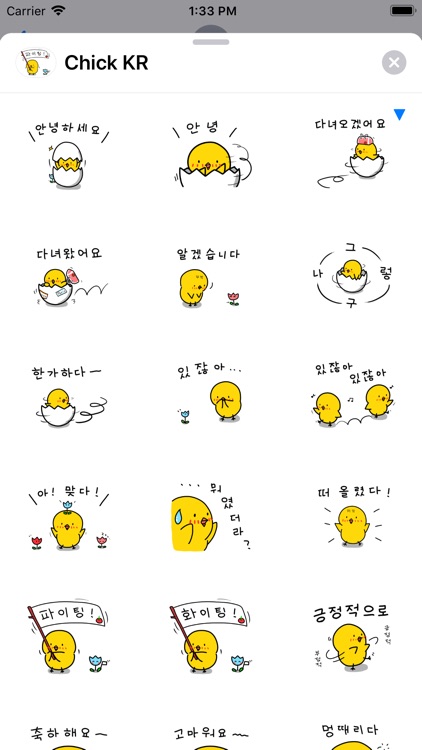 Chick KR Sticker