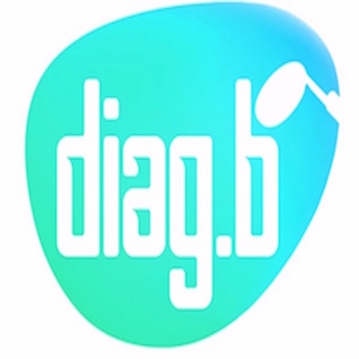 Diag.B icon
